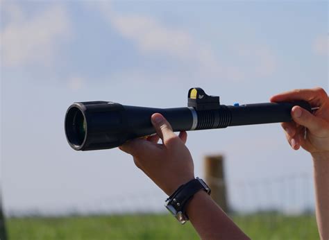 Bird Control Group Effective Laser Bird Deterrent Solutions