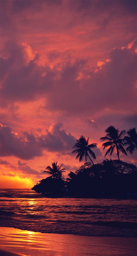 Tropical Sunset Home Screen Sunset Wallpaper Nature Pictures