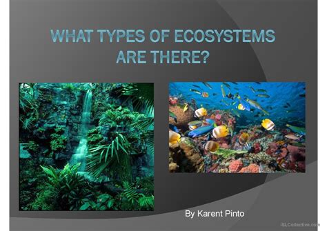 Types Of Ecosystems General Readin English Esl Powerpoints