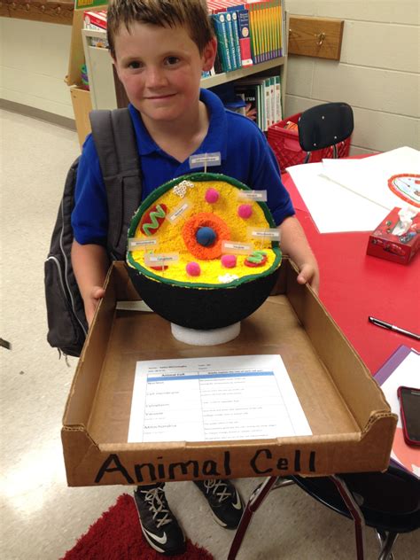 View examples of plant and animal cells. animal cell Project Dylon 09-16-15 | Animal cell project ...