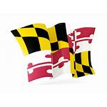 Maryland Flag Waving State Icon States United