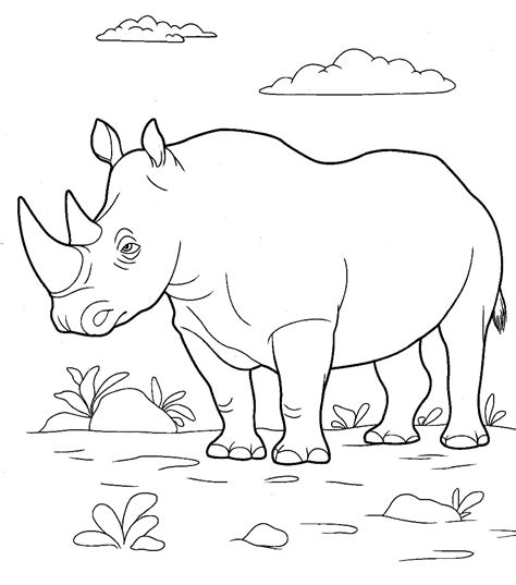 Wild Animals Coloring Pages For Kids To Print For Free