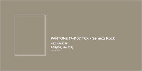 Pantone 17 1107 Tcx Seneca Rock Complementary Or Opposite Color Name