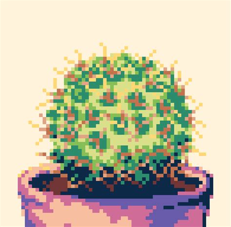 Pixilart House Plant Cacti By Rattlez