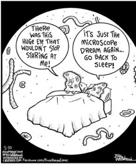 Pin By Pj Hennen On Bacteria Jokes Biology Humor Lab Humor Science