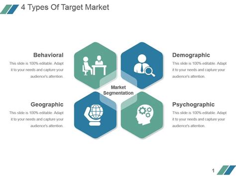 4 Types Of Target Market Sample Ppt Presentation Powerpoint