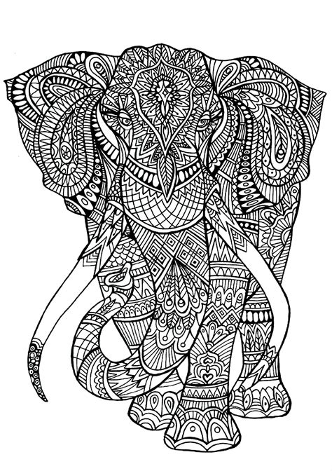 Anima Gros Elephant Eléphants Coloriages Difficiles Pour Adultes