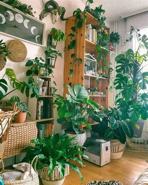 20 Affordable House Plants For Living Room Decoration Living Room