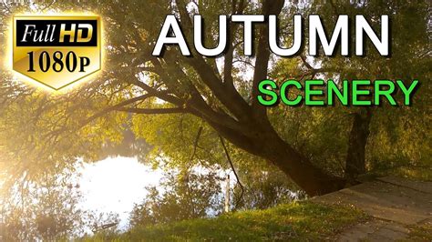 Beautiful Nature Video Full Hd 1080p Beautiful Autumn