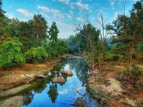 12 Things You Must Know Before Visiting Kanha National Park
