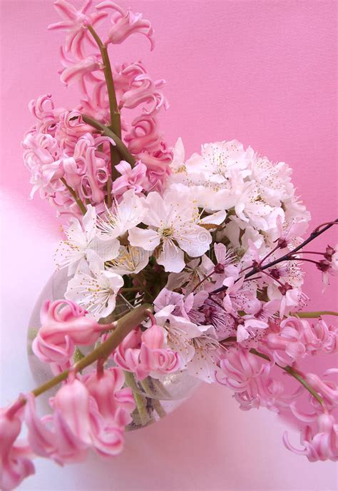 Beautiful Fresh Flowers In Vase Stock Image Image Of Fresh Floral