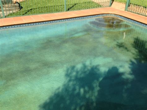 How To Identify And Remove Stains In Swimming Pools