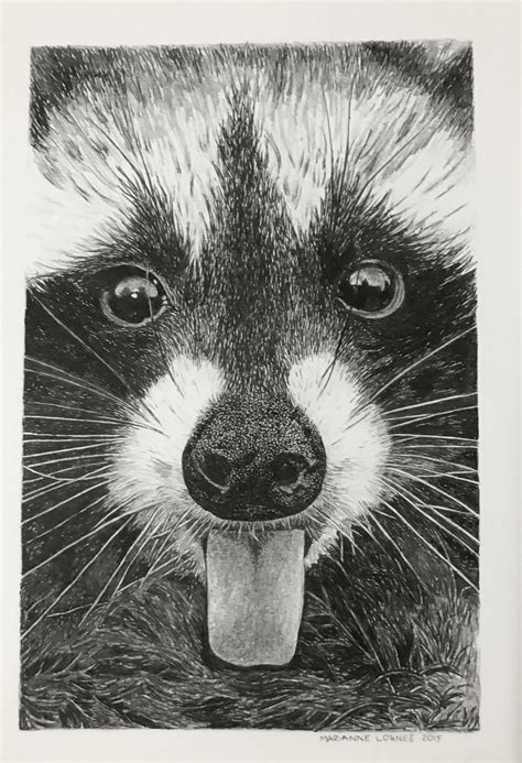 Excited To Share This From My Etsy Shop Raccoon Illustration Print