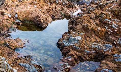 Where To Find Rock Pools In The UK The Life Of Spicers