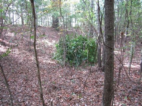 Building A Natural Ground Blind Ground Blinds Hunting Ground Blinds