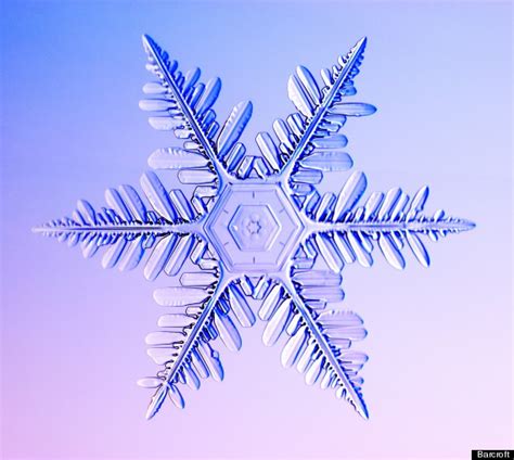 Incredible Close Up Snowflake Photography Pictures