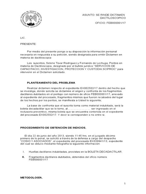 Dictamen Dactiloscopico Aifcf Pdf Huella Dactilar Control De Acceso