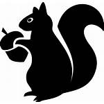 Squirrel Acorn Icon Svg Onlinewebfonts
