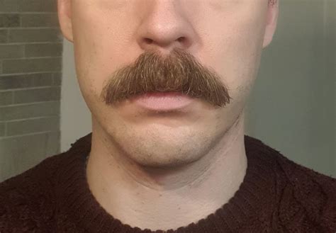 Recently Im Rocking A Chevron Moustache