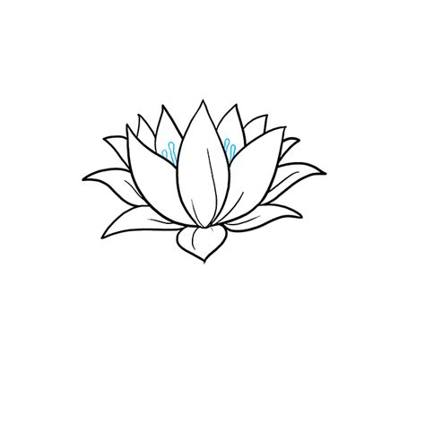 How To Draw A Lotus Flower Really Easy Drawing Tutorial
