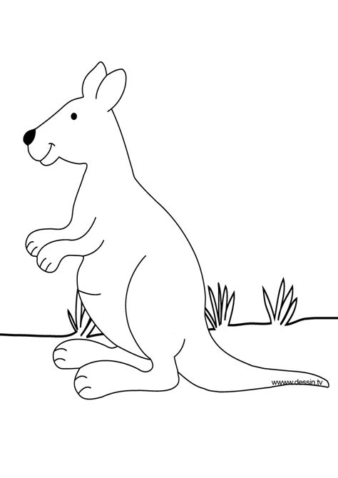 Simple kangaroos coloring page for kids. Kangaroo Printable Coloring Pages