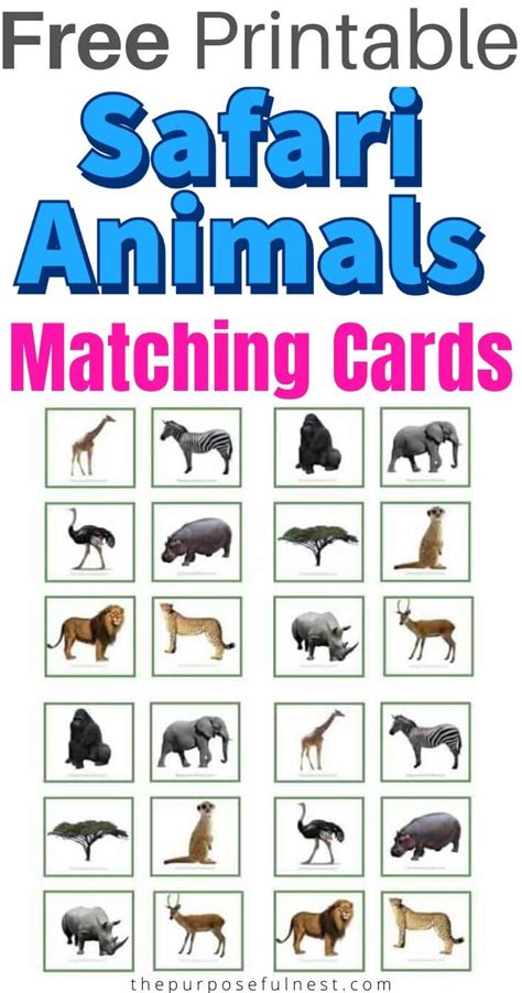 Free Printable Animal Matching Cards Safari Animals Safari Toddler