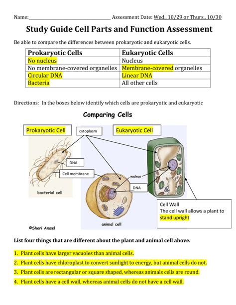 It is elastic to help change it's shape under pressure. Cell Structure Test study guide