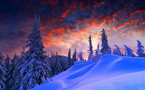 Wallpaper 2560x1600 Px Landscape Snow Trees 2560x1600 Goodfon