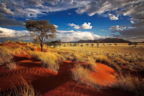 Namibia Photo Gallery Fodors Travel