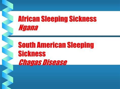 Ppt Trypanosomiasis Sleeping Sickness Powerpoint Presentation Id