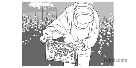 Pemelihara Lebah Hitam Putih Illustration Twinkl