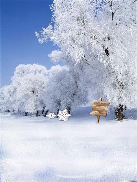 2019 Blue Sky Winter Scenic Photography Backdrops Beautiful White Snow