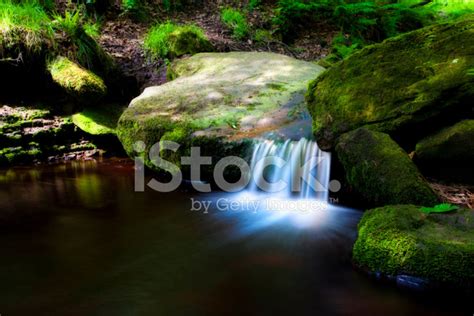 Woodland Stream And Waterfall Stock Photo Royalty Free Freeimages