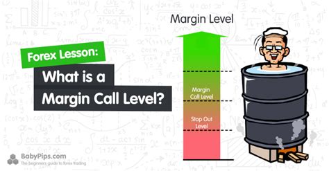 Check spelling or type a new query. What is a Margin Call Level? - BabyPips.com