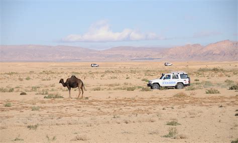 0504 20101018tunisia Desert 4x4 Excursion Crossing Ne Cor Flickr