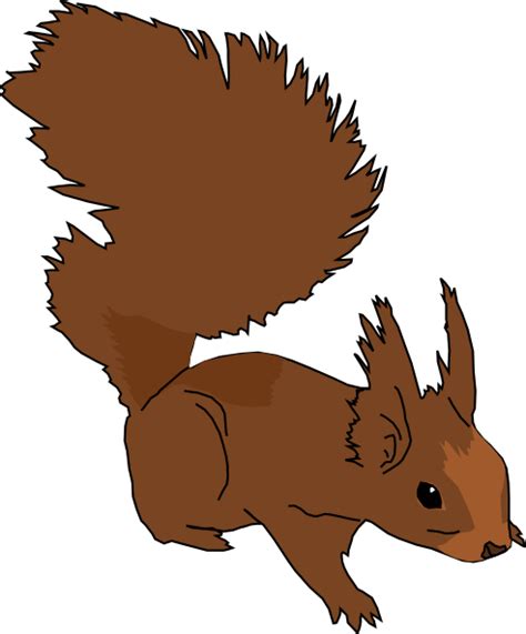 Cartoon Squirrel Clip Art At Vector Clip Art