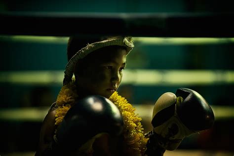 60 Free Muay Thai And Martial Arts Images Pixabay