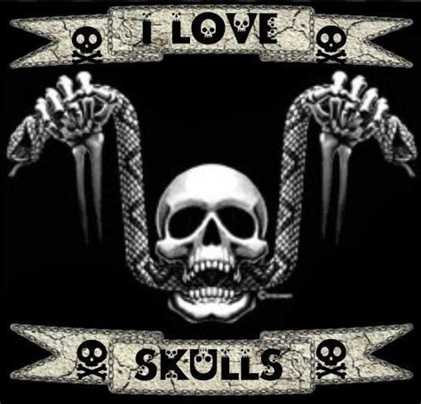 I Love Skulls Skull Art Skull Skull Pictures