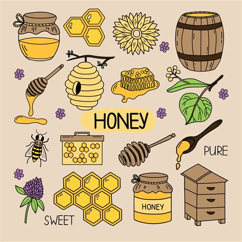 Honey Doodle Set With Bee Beehive Honeycomb Linden Sunflowers Hand Drawn Vector