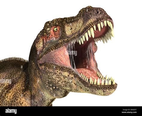 Tyrannosaurus Rex Dinosaurio Foto Realistas De Representación