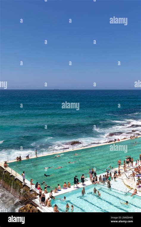 Bondi Icebergs Club And Outdoor Swimming Pool Busy With Swimmersbondi