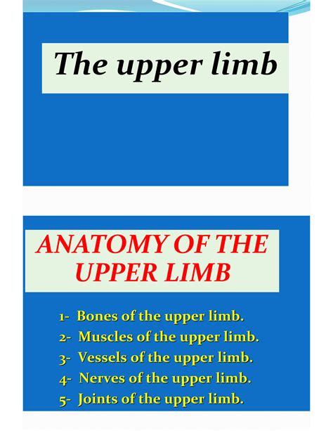 The Upper Limb Anatomie The Upper Limb Anatomy Of The Upper Limb 1