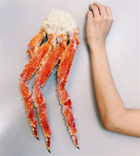 Hokkaido Japanese King Crab Leg Raw 5l 1kg Shiki Sg