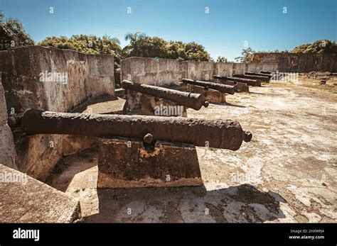 Canons anciens alignés pour défendre la forteresse de Saint Domingue en
