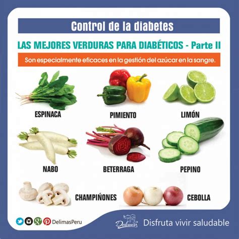 Las Mejores Verduras Para Diabéticos Ricas En Vitaminas Minerales Y