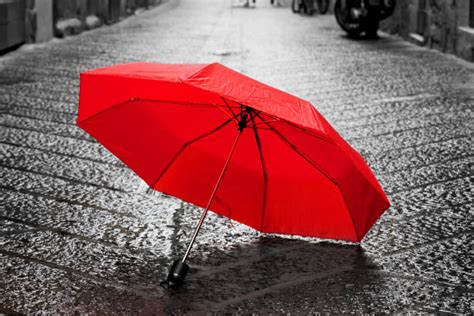 Best Black And White Umbrella Stock Photos Pictures And Royalty Free