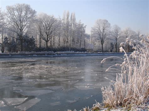 Free Images Tree Water Snow Winter Lake Frost River Pond Ice
