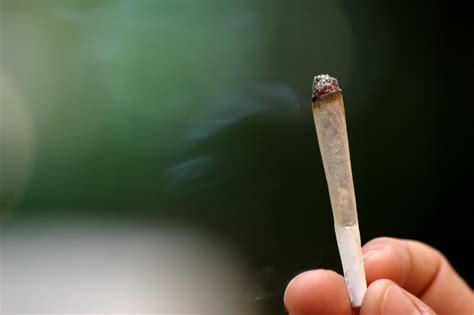 9 Faits à Savoir Absolument Sur Le Cannabis Le Cahier