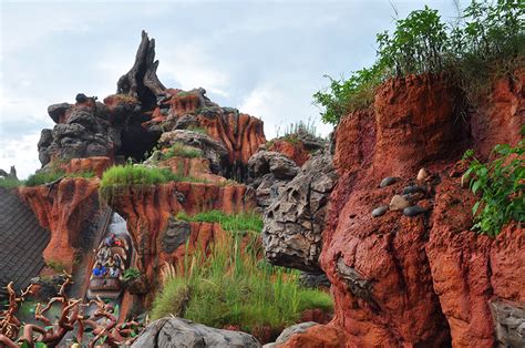 Five Things You May Not Know About Splash Mountain Celebrations Press