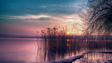 Hd Wallpaper Reeds Lake Sunset Purple Sky Water Reflection